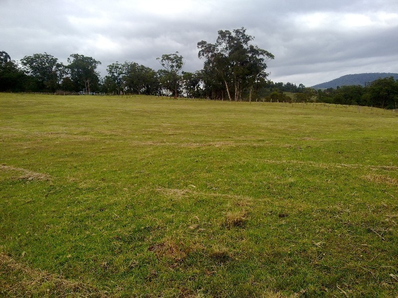 Lot 532 Mount View Road, Mount View NSW 2325