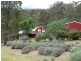 82 Stapleton Road, Laguna NSW 2325
