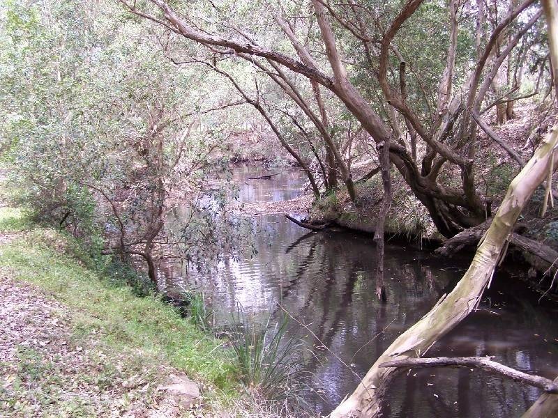 82 Stapleton Road, Laguna NSW 2325