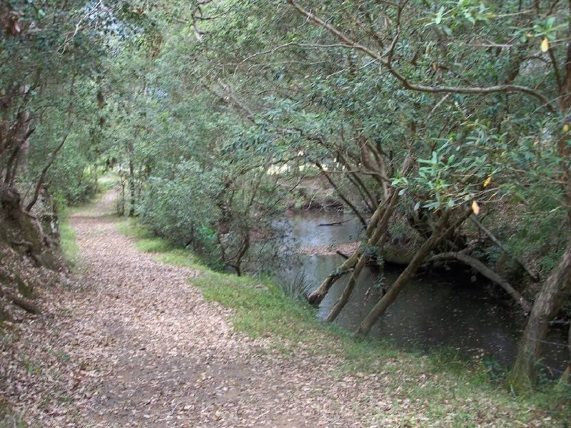 82 Stapleton Road, Laguna NSW 2325