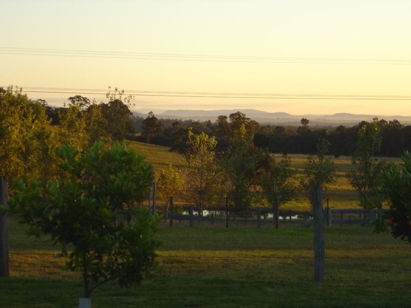 113 Bimbadeen Road, Mount View NSW 2325