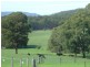 113 Bimbadeen Road, Mount View NSW 2325