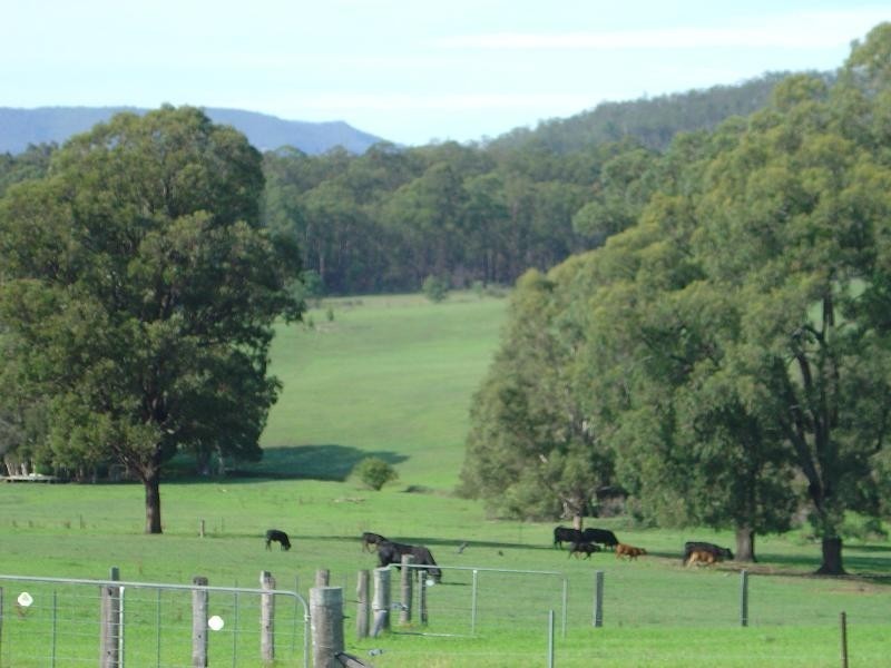 113 Bimbadeen Road, Mount View NSW 2325