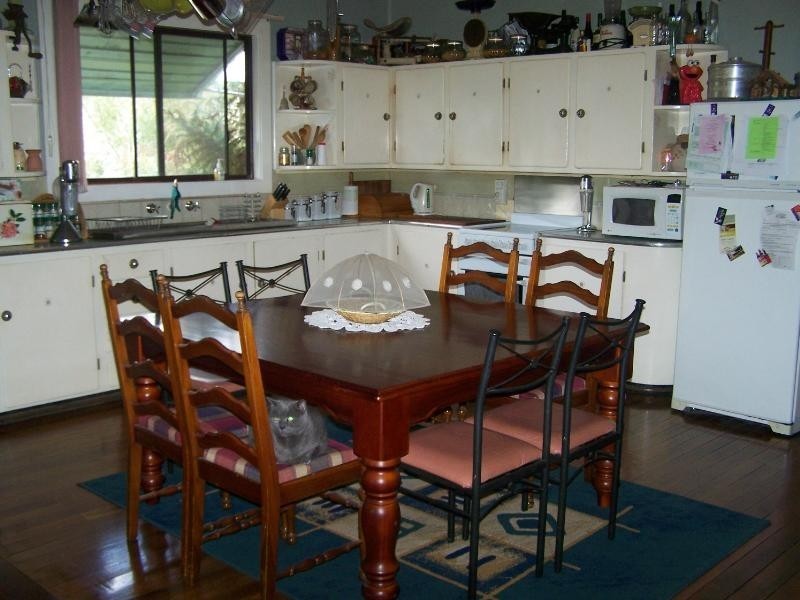 19 Dubbo Street, Abermain NSW 2326