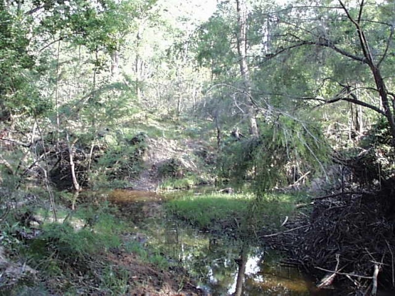 107 Q 7 Lane, Off Sandy Creek Road, Quorrobolong NSW 2325