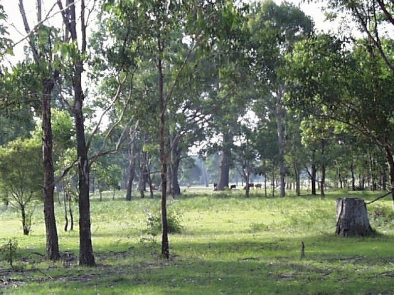 107 Q 7 Lane, Off Sandy Creek Road, Quorrobolong NSW 2325