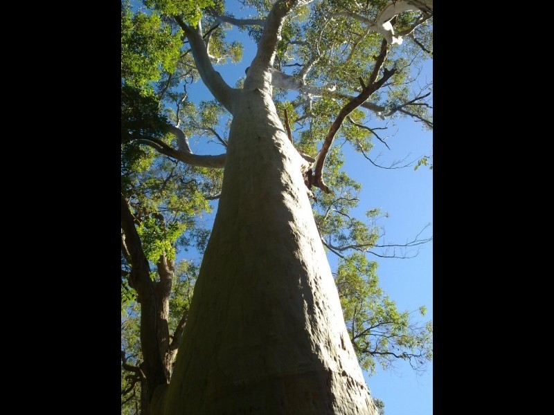 107 Q 7 Lane, Off Sandy Creek Road, Quorrobolong NSW 2325