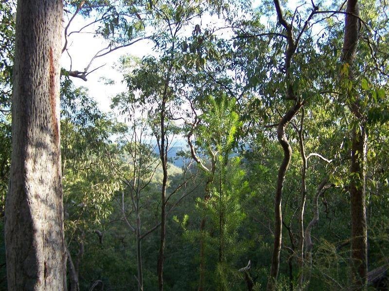 Cedar Creek NSW 2325