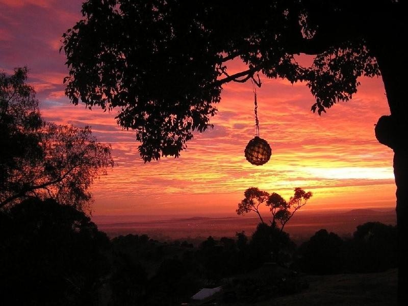 249 Bimbadeen Road, Mount View NSW 2325