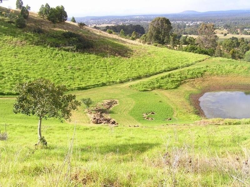 249 Bimbadeen Road, Mount View NSW 2325