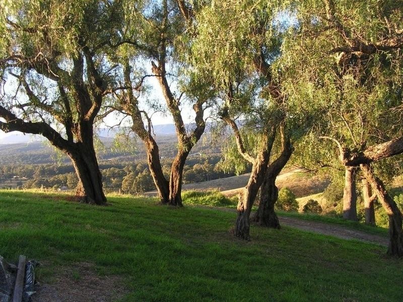 249 Bimbadeen Road, Mount View NSW 2325