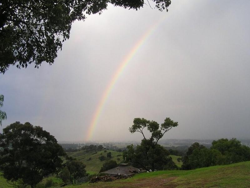 249 Bimbadeen Road, Mount View NSW 2325