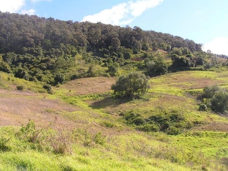 249 Bimbadeen Road, Mount View NSW 2325