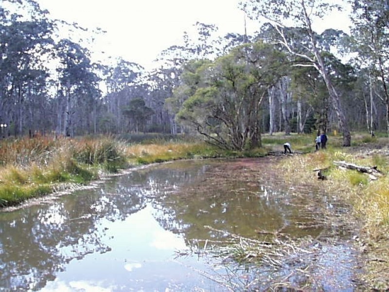 Lot 4/90 Millfield Road, Paxton NSW 2325