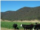 Congewai NSW 2325