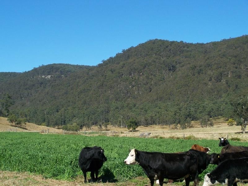 Congewai NSW 2325