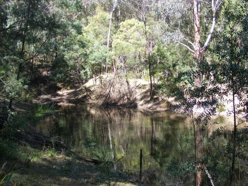 Lot 152 Cedar Creek Road, Cedar Creek NSW 2325