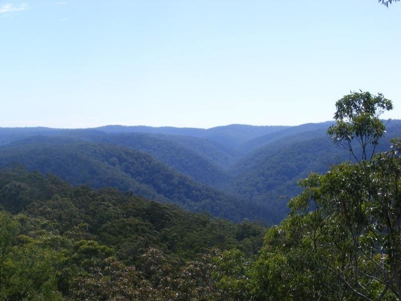 Lot 152 Cedar Creek Road, Cedar Creek NSW 2325