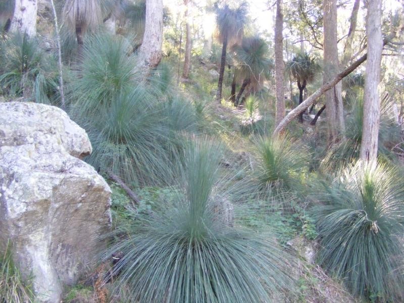 Lot 174 Hayes Road, Congewai NSW 2325