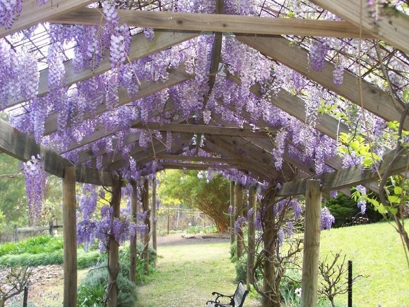 145 Q3 Private Access RoadWallaby Gully Road, Ellalong NSW 2325