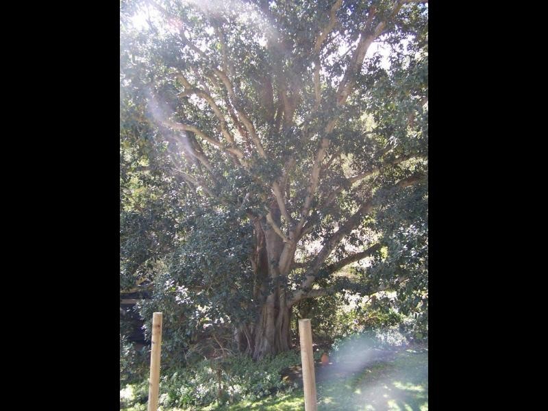 145 Q3 Private Access RoadWallaby Gully Road, Ellalong NSW 2325