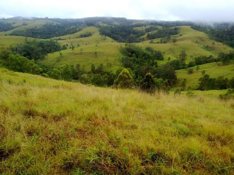 Wattle Tree Road & Flat Tops Road, Marshdale NSW 2420