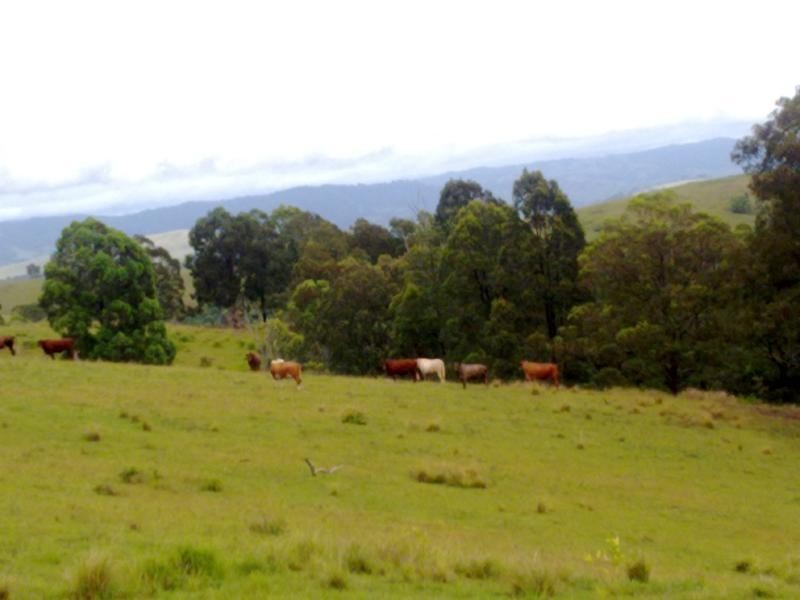 Wattle Tree Road & Flat Tops Road, Marshdale NSW 2420