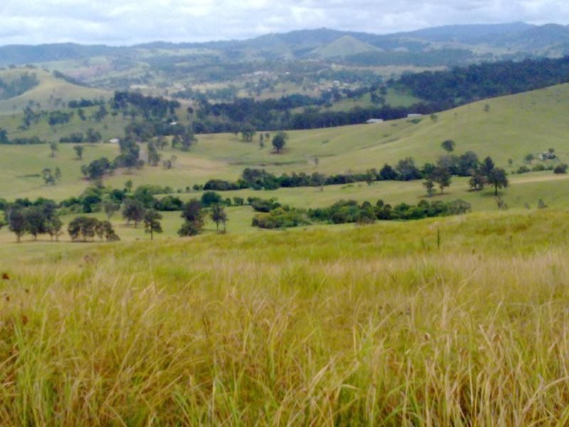 Wattle Tree Road & Flat Tops Road, Marshdale NSW 2420