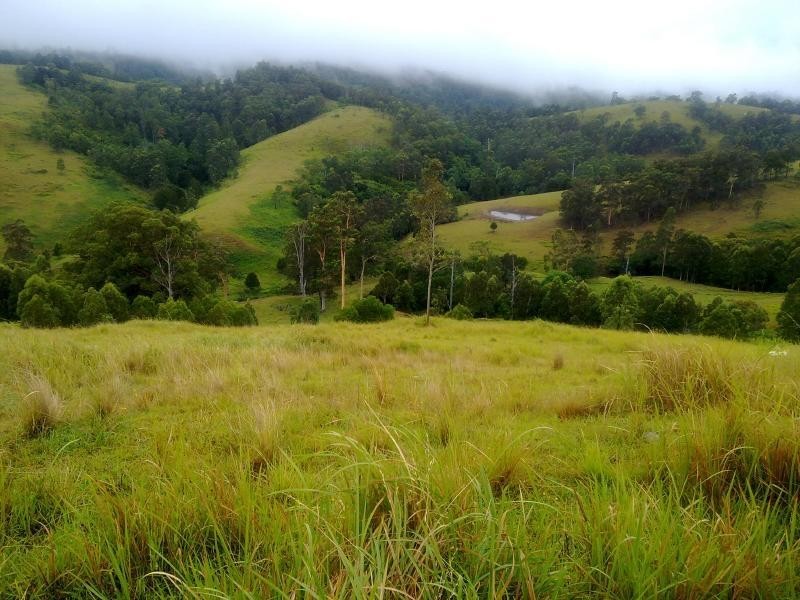 Wattle Tree Road & Flat Tops Road, Marshdale NSW 2420