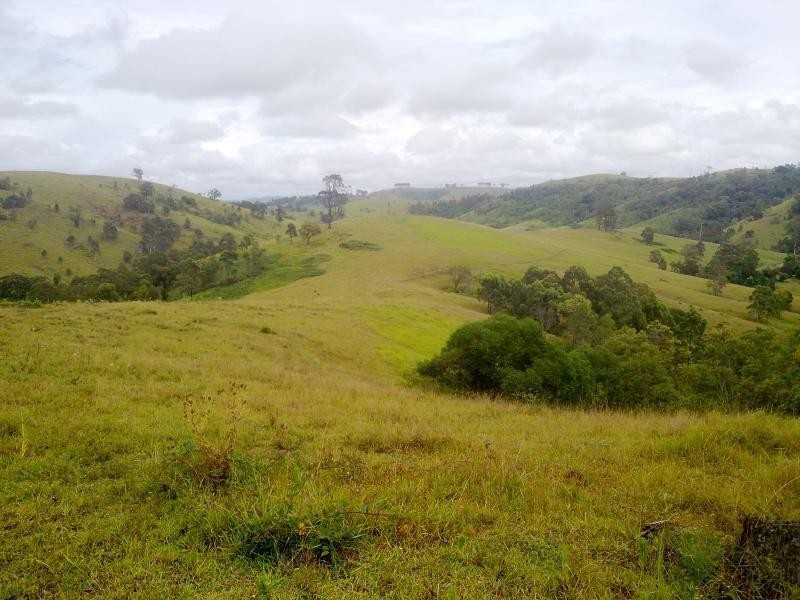 Wattle Tree Road & Flat Tops Road, Marshdale NSW 2420