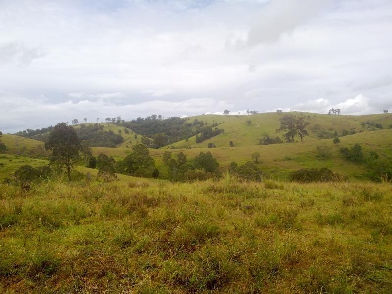 Wattle Tree Road & Flat Tops Road, Marshdale NSW 2420