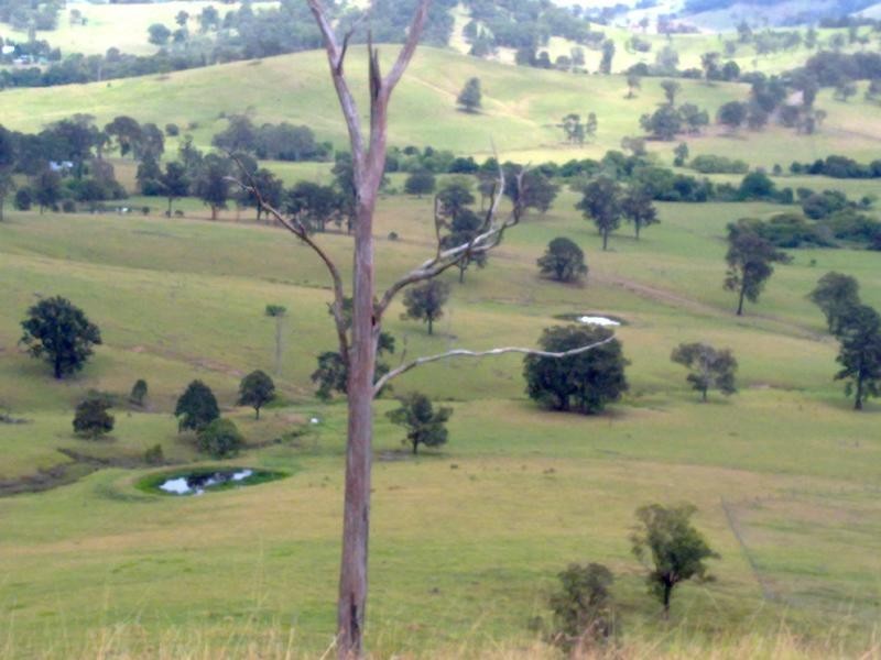 Wattle Tree Road & Flat Tops Road, Marshdale NSW 2420