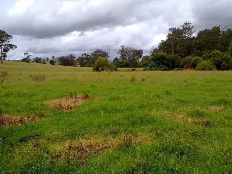 Wattle Tree Road & Flat Tops Road, Marshdale NSW 2420