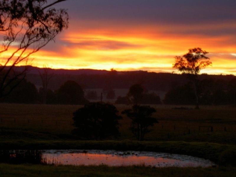 Killabakh NSW 2429