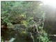 Killabakh NSW 2429