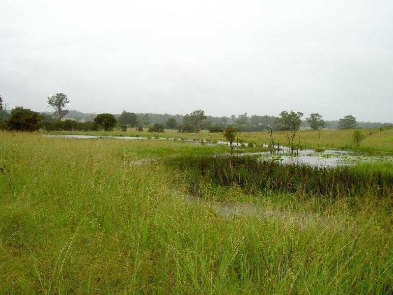 Killabakh NSW 2429