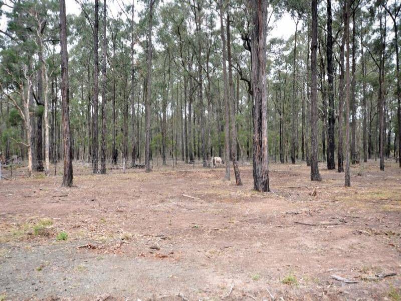 320 Lovedale Road, Lovedale NSW 2325