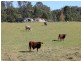 Millfield NSW 2325