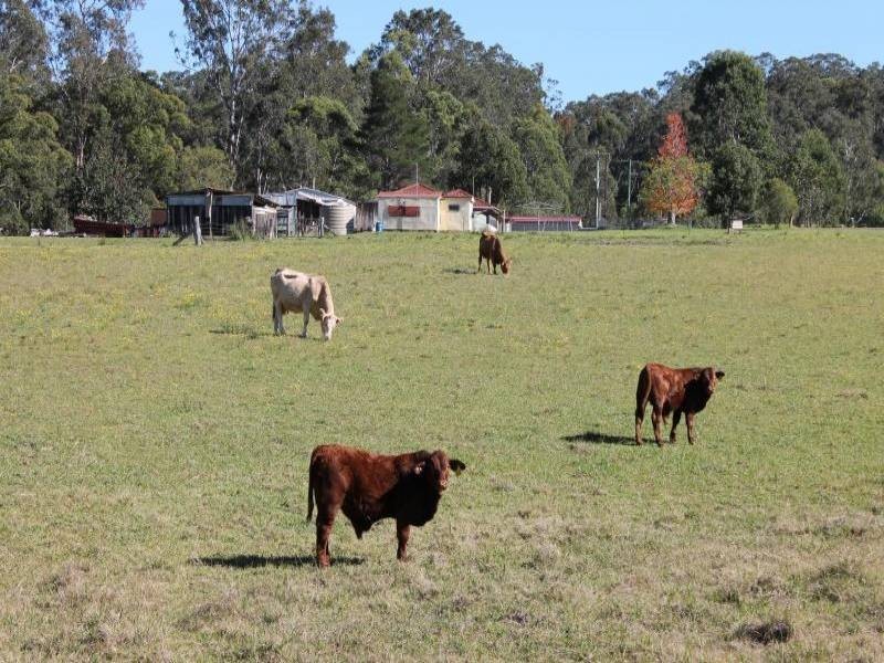 Millfield NSW 2325