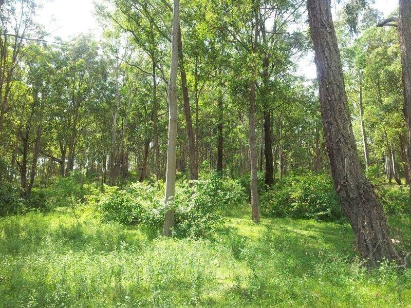 1379 Mount View Road, Millfield NSW 2325