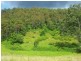 1379 Mount View Road, Millfield NSW 2325