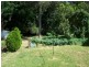 133 Sunshine Parade, Sunshine NSW 2264