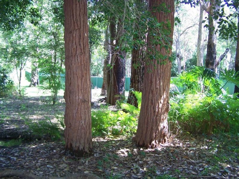 133 Sunshine Parade, Sunshine NSW 2264