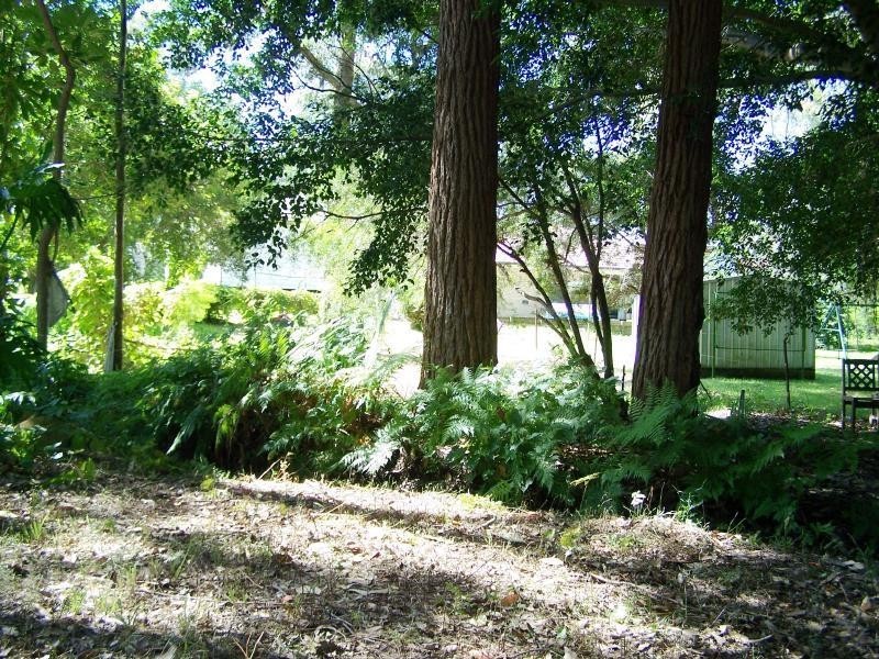 133 Sunshine Parade, Sunshine NSW 2264