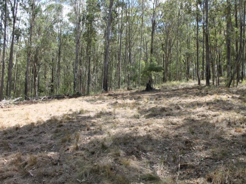 Lot 2422, 574 Sandy Creek Road, Quorrobolong NSW 2325