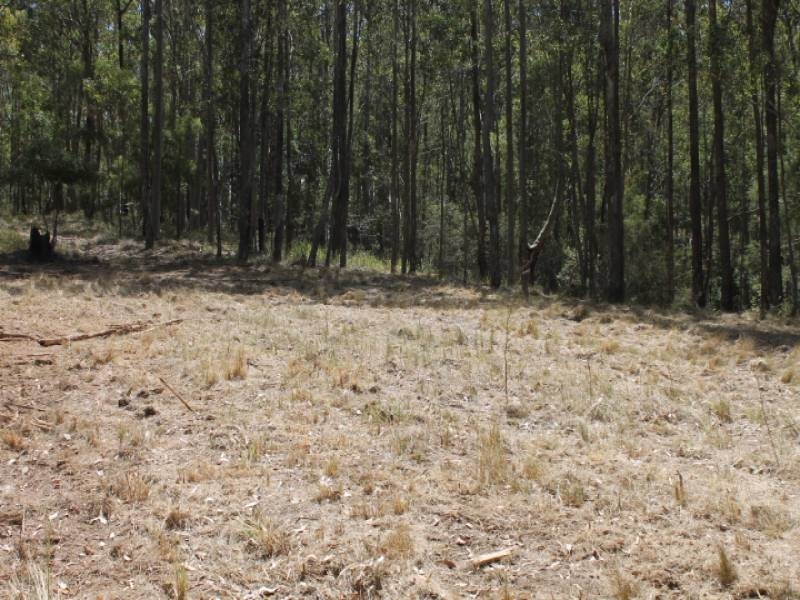 Lot 2422, 574 Sandy Creek Road, Quorrobolong NSW 2325