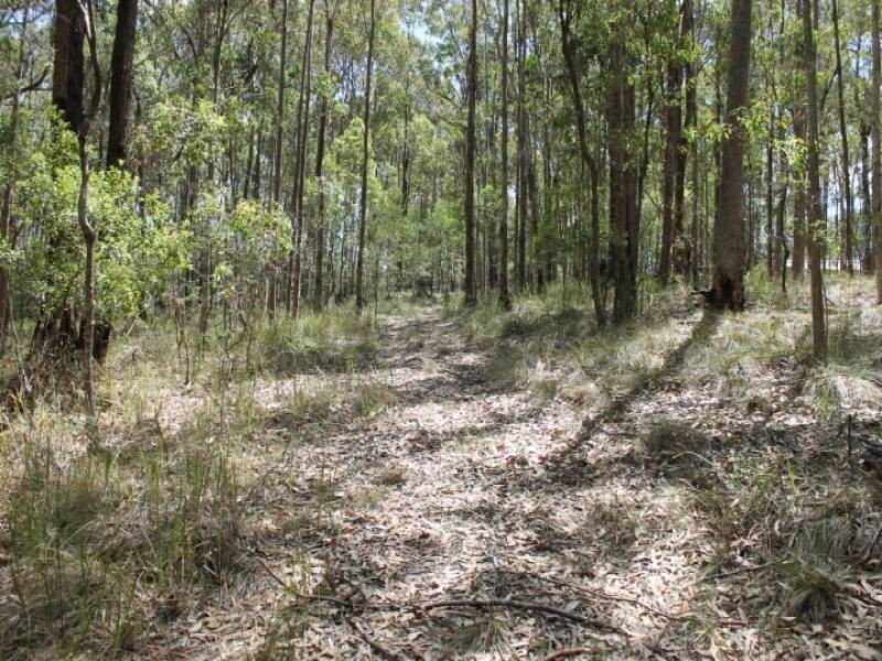 Lot 2422, 574 Sandy Creek Road, Quorrobolong NSW 2325