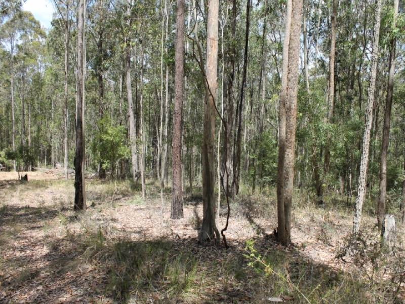 Lot 2422, 574 Sandy Creek Road, Quorrobolong NSW 2325