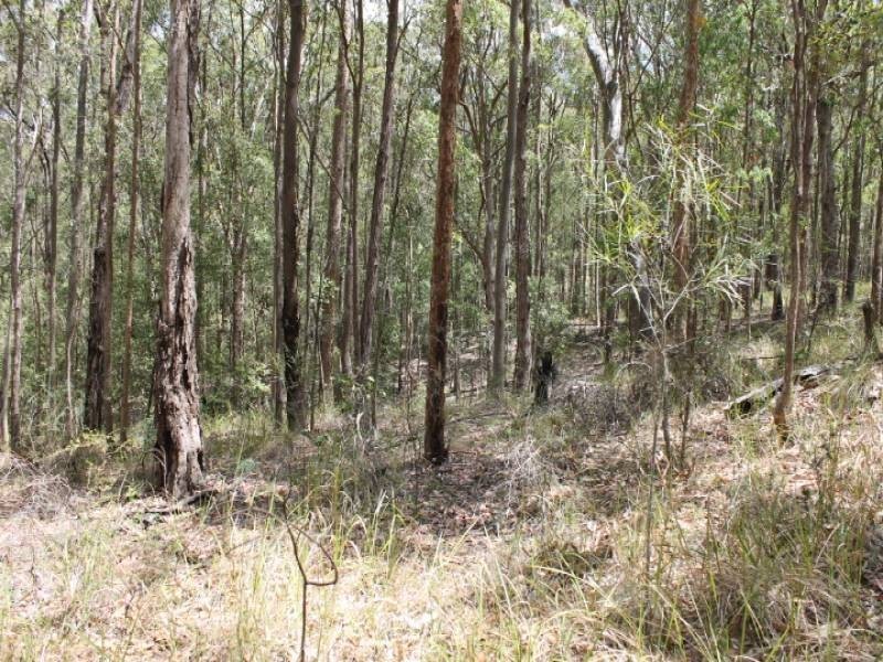 Lot 2422, 574 Sandy Creek Road, Quorrobolong NSW 2325