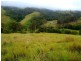 Wattle Tree Road & Flat Tops Road, Marshdale NSW 2420